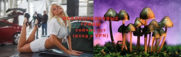 наркотики Белокуриха