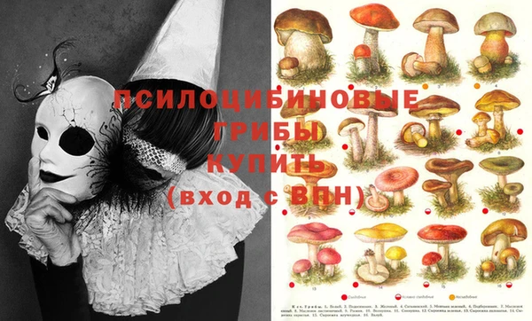 наркотики Белокуриха