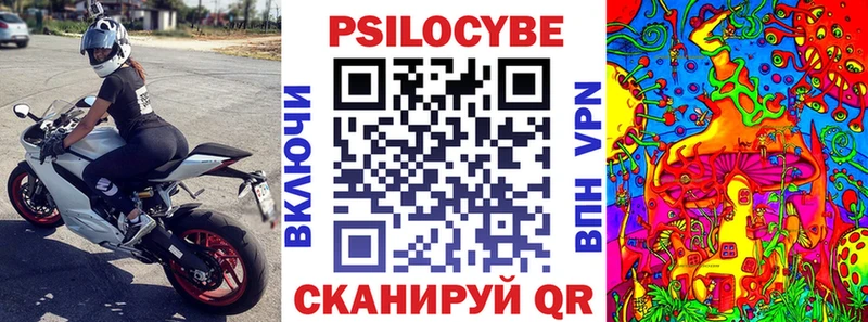 Псилоцибиновые грибы Psilocybine cubensis  Воскресенск 